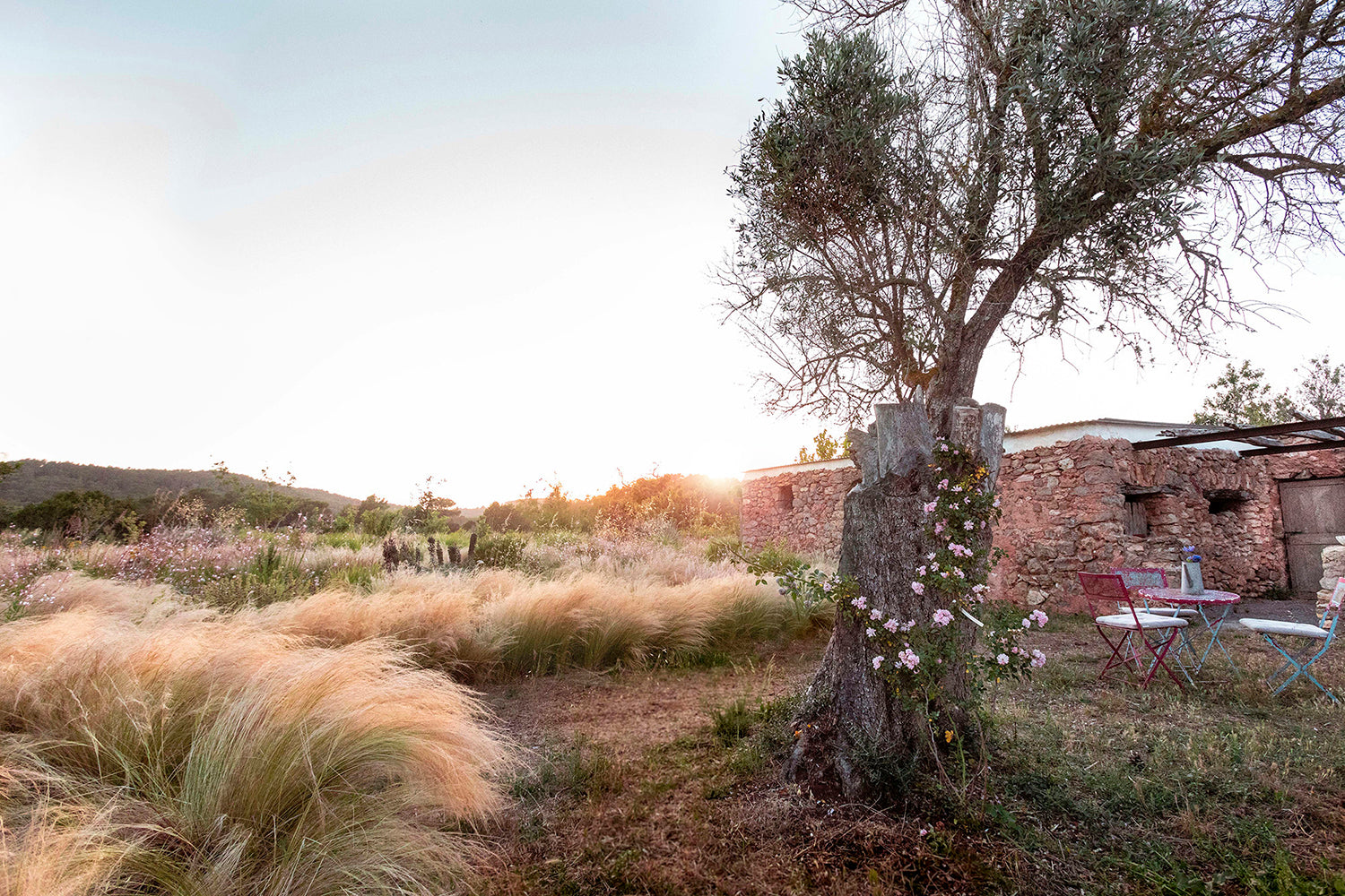 The Farm Ibiza